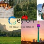 Private Tours Sri Lanka: Tailored, Private Journeys for You