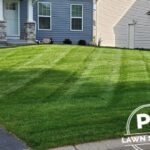 Top Irrigation System Contractors Near Me for Reliable Lawn Care