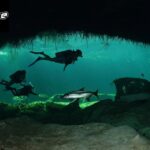 Tulum Cenote Diving: Discover Hidden Underwater Caves and Crystal Waters