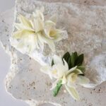 Same Day Flowers Auckland – Stunning Blooms Delivered Today