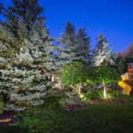 Transform Your Outdoor Lighting: Create Magic Under the Night Sky