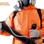 Exterminator Edmonton: Fast, Safe Pest Control You Can Trust