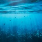 Family Dentistry in Downtown Ottawa: Gentle Care for All Ages