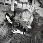 Tierkommunikation Bern – Verstehen Sie Ihre Tiere besser