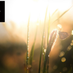 Psykolog relationer Stockholm – hitta stöd hos kunniga psykologer