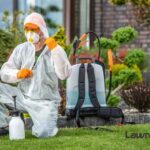 A Green Whisper: A Local Tale of Lawn Care Excellence