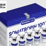 Anabolen kopen: veilig en discreet voor jouw fitnessdoelen