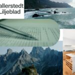 Företagets skattelagstiftning: Så uppfyller du krav på affärsbeskattning