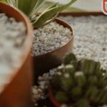 Corten Garden Edge: Elegant, Durable Edging for Your Outdoor Space