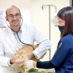 Doha Veterinary Center: Caring, Affordable Pet Care in Doha