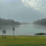 Buying a Business in Singapore: A Practical Guide