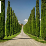 Tuscany Villa Rentals | Luxury Italian Getaways with Idyllic Italy