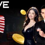 Discover 3WE Casino: Exciting Online Gambling in the UK