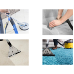 Carpet Cleaning Bull Creek – Reliable, Thorough & Local Experts