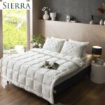 Discover the Women’s Fashion Collection USA — Sustainable Style