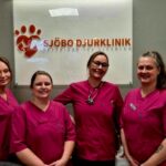 Hund tandvård i Skurup – Sjobodjurkliniken för din hund