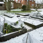 Micro homesteading for beginners: practical guides for small-scale living