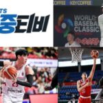 전 세계 축구를 한 눈에 보는 뜨거운 경기 이야기