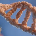 ADHD Assessment Malaysia: Clear, Compassionate Evaluation for All Ages