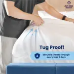 Discover Stussy Home Décor for a Stylish, Cozy Space