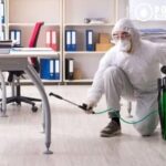 Exterminator Calgary – Reliable Pest Control Specialists